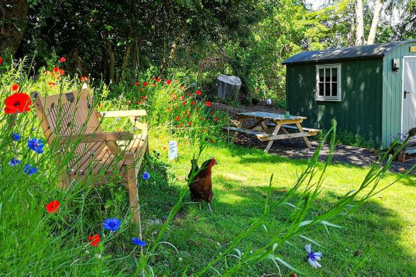 YHA Wooler Shepherds Hut