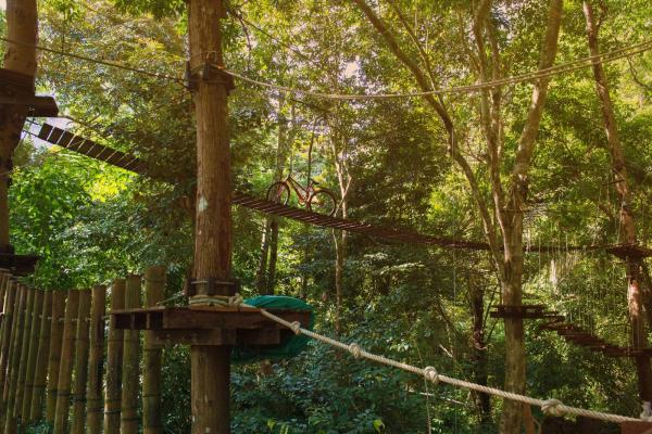 Go Ape - Forest of Dean