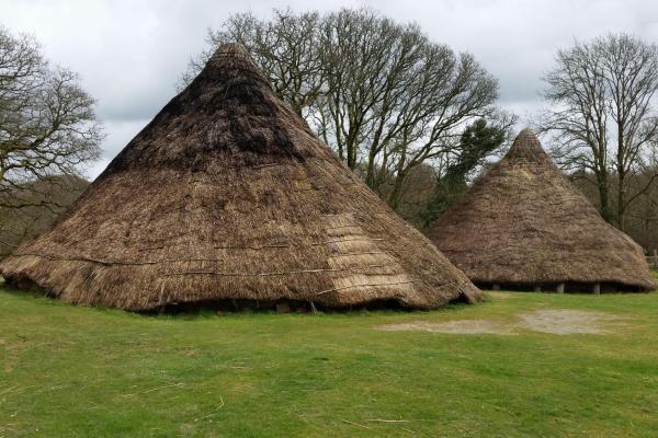 Thatched huts at Castell Henllys