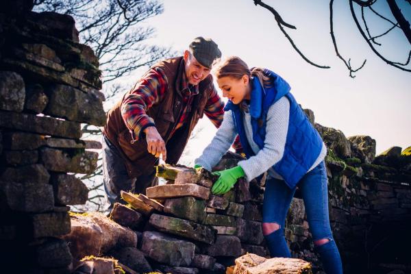 Instructing a youngster how to drystone wall