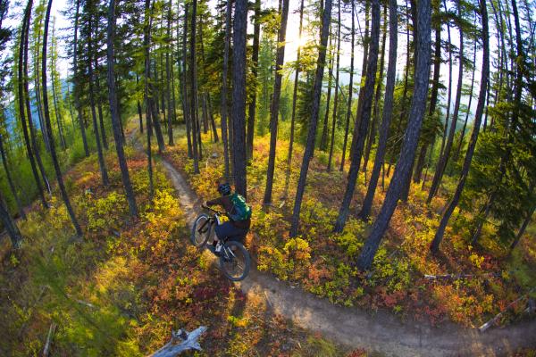 Mountain biking in Wye Valley