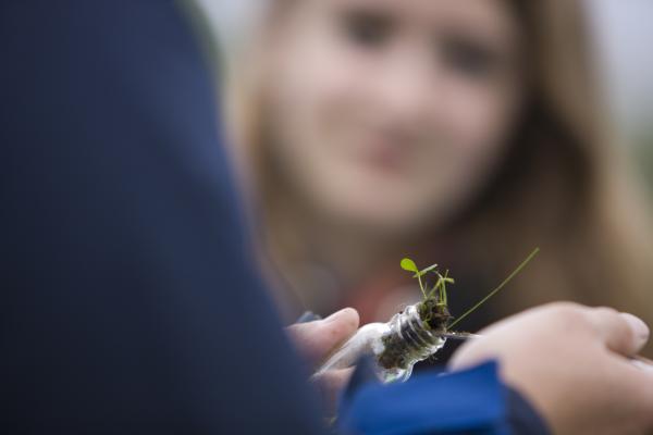 Children collecting samples on a geography field trip