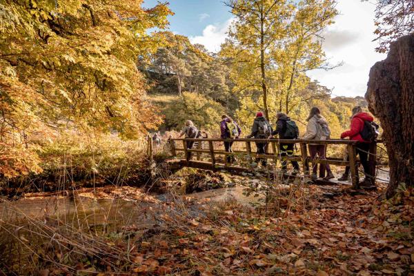 Group of walkers going over a bridge with autumnal landscape