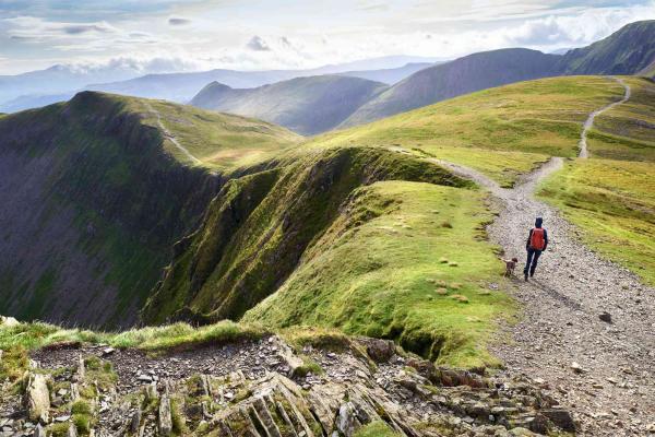 A hiker and their dog walking down from the summit of Hopegill Head