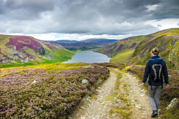 Person walking on a path in a national park