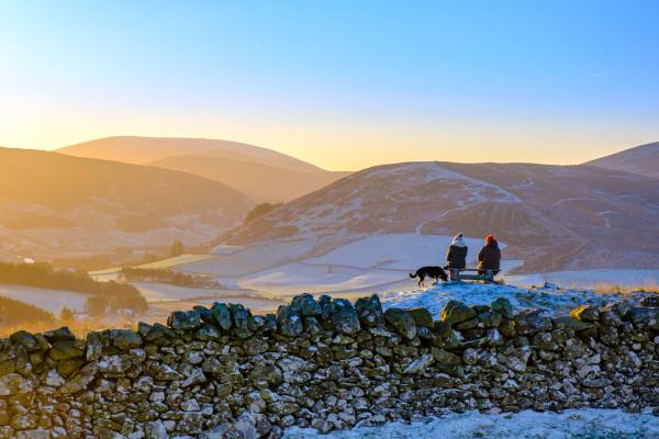 Snowy landscape with a winter sunrise