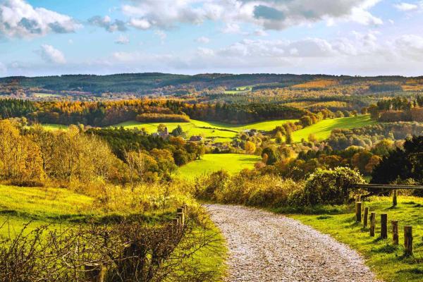 View over the countryside with rolling hills and tress