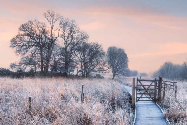 Wintery English countryside in the early morning with pink sky