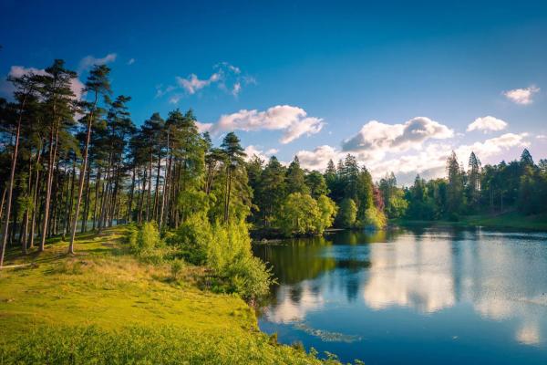 Countryside and lake view