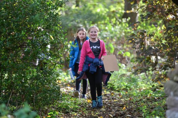 Children walking through a wood