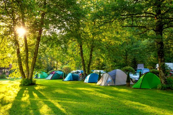 Camping in Surrey