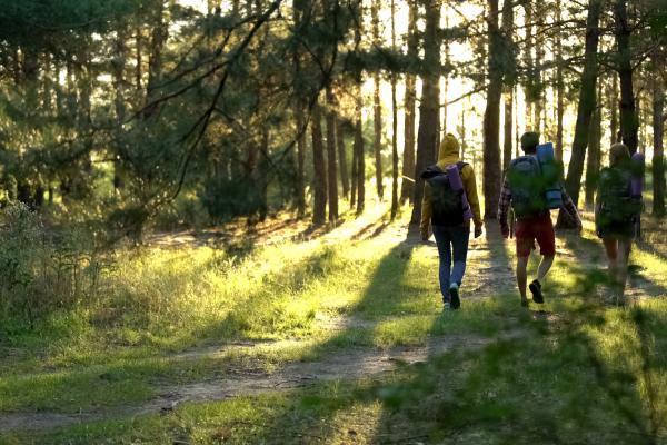 Backpackers walking in forest