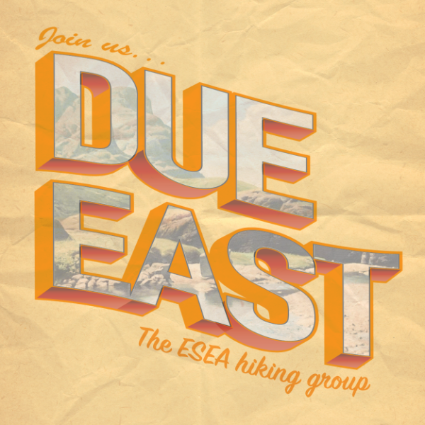 Due East logo