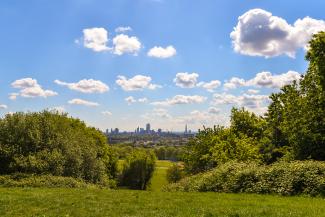 View from parliament hill London, blue sky with lots of surrounding greenery.