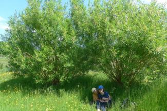 Pulborough Brooks RSPB Reserve