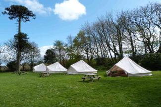 Row of canvas bell tents in a field