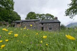 Stone camping barn in a field of buttercups