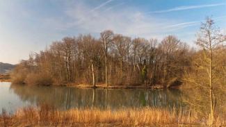 Large lake surrounded by autumnal trees