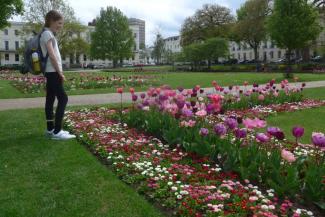 Child overlooking a garden of tulips