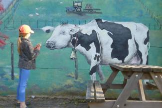 Child looking at a painted mural of a blank and white cow