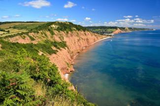 Devon coast on a sunny day