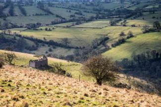 Grass fields in subdued sunlight