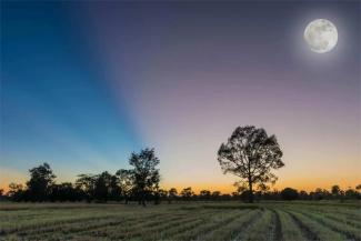 Harvest moon shining over fields in UK