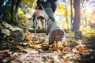 Hiker with trekking sticks walking a mountain trail