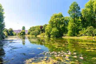 Beautiful trees and landscape of Hyde Park, London 