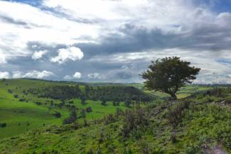 View over a valley with grass fields and trees