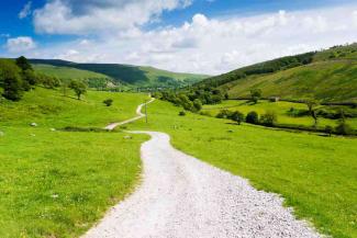 Countryside with green fields and a winding gravel path