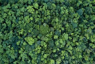 National Forest in Derbyshire