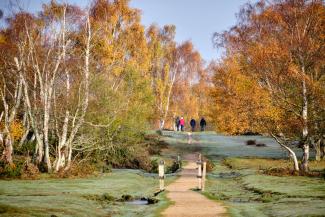 Group of four going for a walk frosty sunny morning in Brockenhurt, New Forest