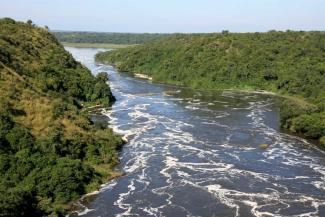 Large flowing river surrounded by greenery