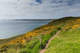 Pembrokeshire coast path to Newgale St Bride's Bay Wales