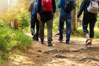 Group of people walking through a forest while wearing backpacks