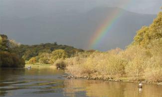 Rainbow over a lake and trees