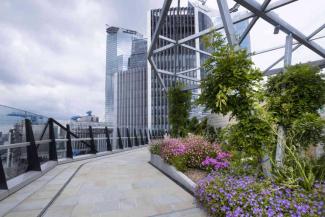 Rooftop garden with balcony overlooking the city