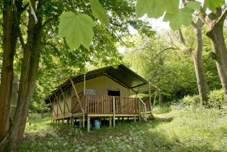 Canvas safari tent in the woods