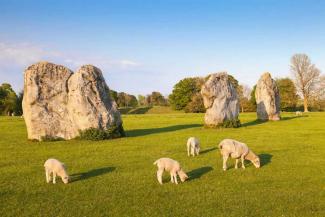 Sheep grazing on field by a stone circle