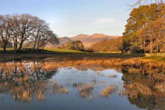 Lake with reeds in the countryside