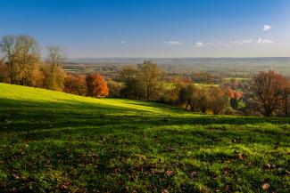 South Downs national park in autumn