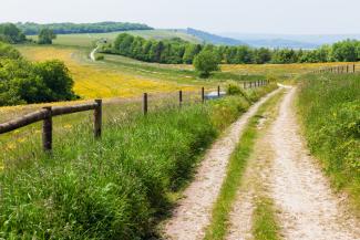 Path leading through fields, South Downs