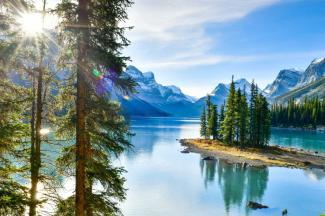 Trees on a tiny island overlooking a lake and mountain range