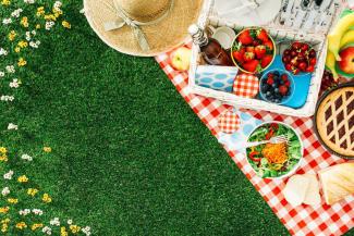 Picnic blanket covered with bowls of fruit and salad