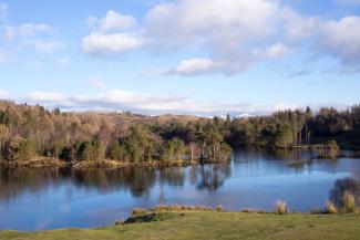 View of Tarns How, Lake District