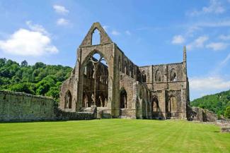 Stone abbey ruin by a grass field