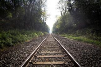 Train tracks surrounded by green leafy trees