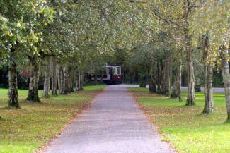 Path lined with trees leading towards a tram