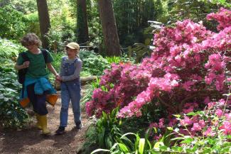 Two children walking in woodland